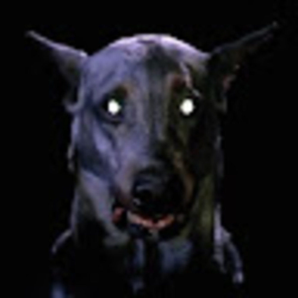 Meet your Posher, Luna